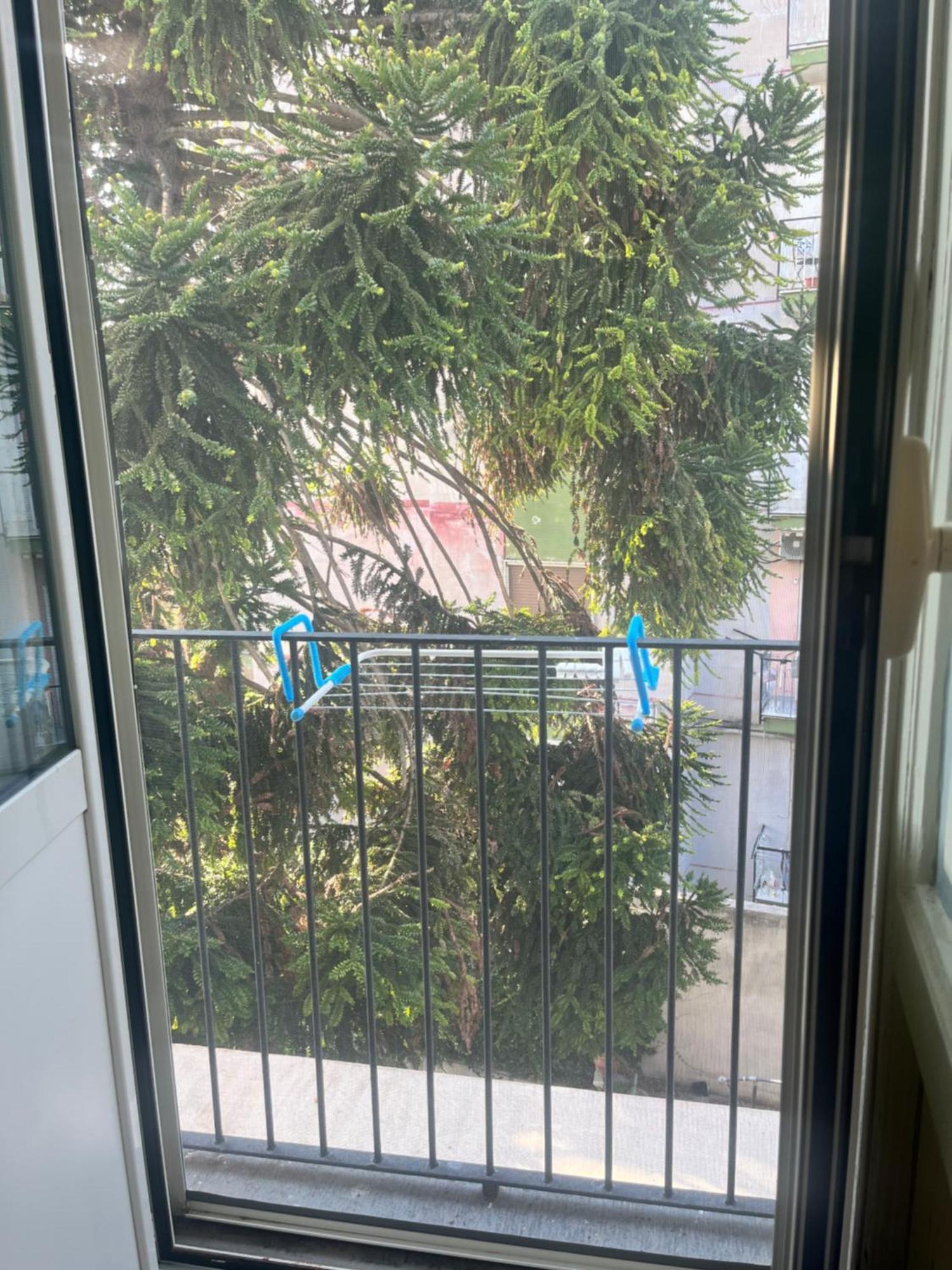 Mediterraneo Apartment 에르콜라노 외부 사진